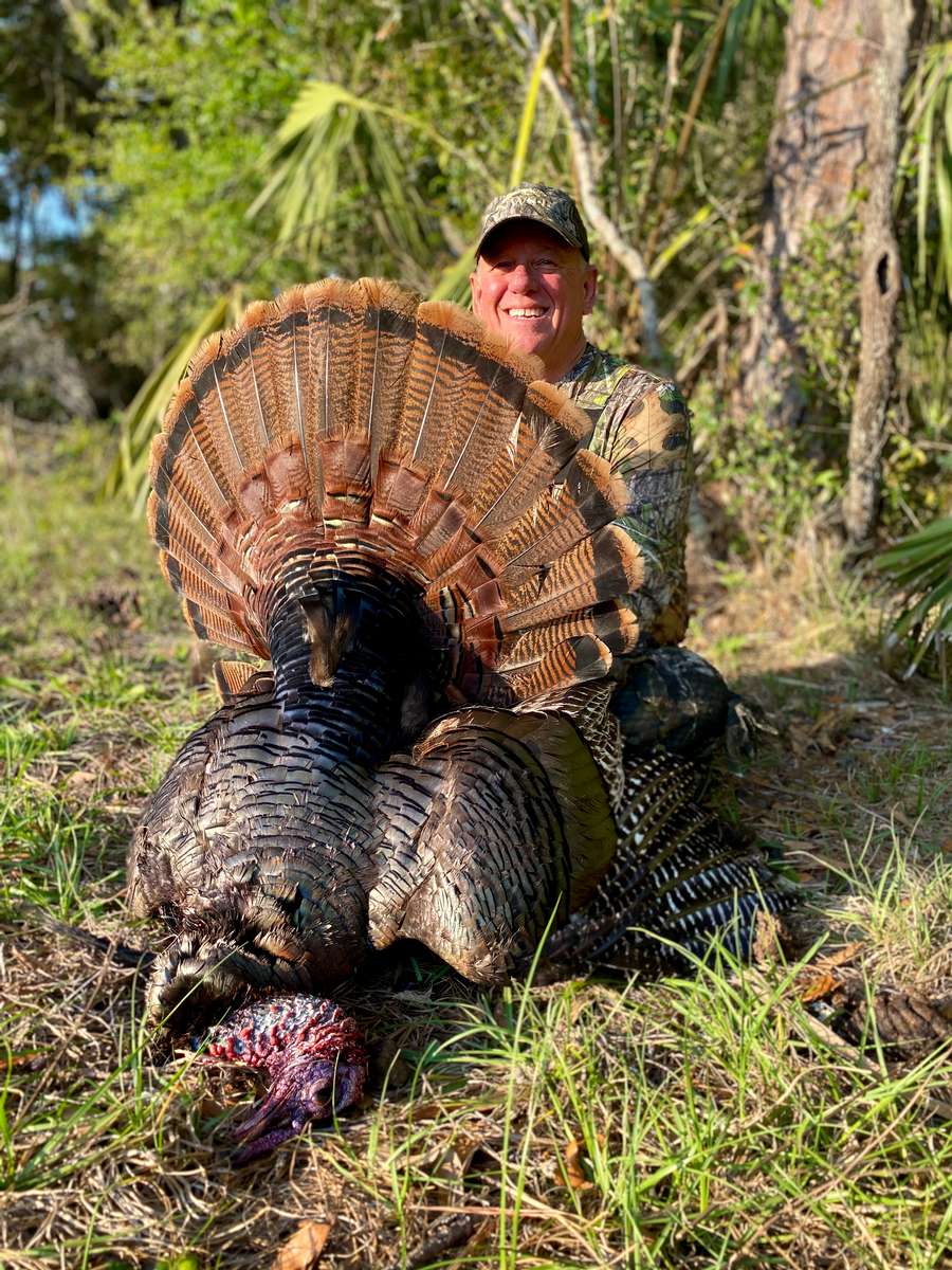 2022 Rates guided osceola turkey hunts in florida